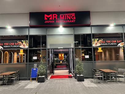 MR.MING